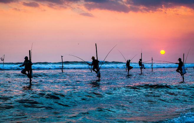 Fishermen on the stilts in silhouette at sunset in Sri Lanka